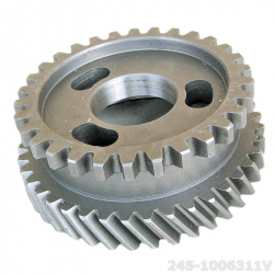 245-1006311V