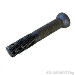 45-1604077bg