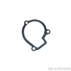 50-1307048