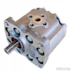 NSh14p