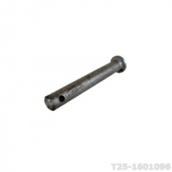 T25-1601096