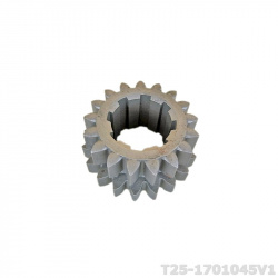 T25-1701045V1