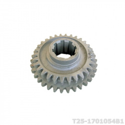 T25-1701054B1