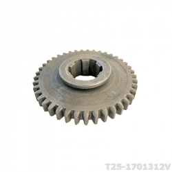 T25-1701312V