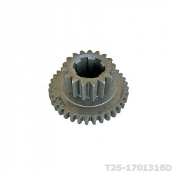 T25-1701316D