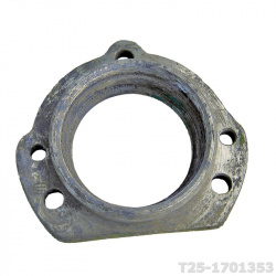 T25-1701353