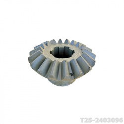 T25-2403096