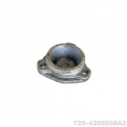 T25-4205038A2