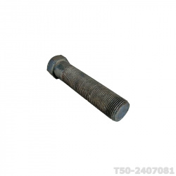 T50-2407081