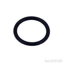 kor202425