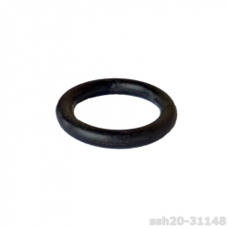 ssh20-31148