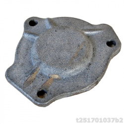 t251701037b2