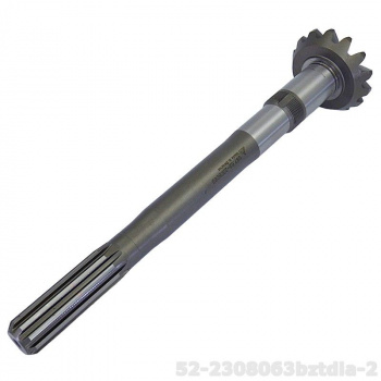 52-2308063bztdia-2