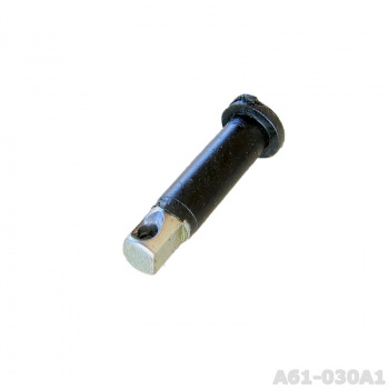 A61-030A1