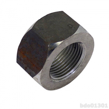 bdo01301
