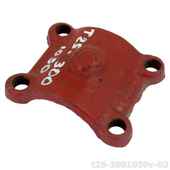 t25-3001030v-02