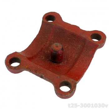 t25-3001030v